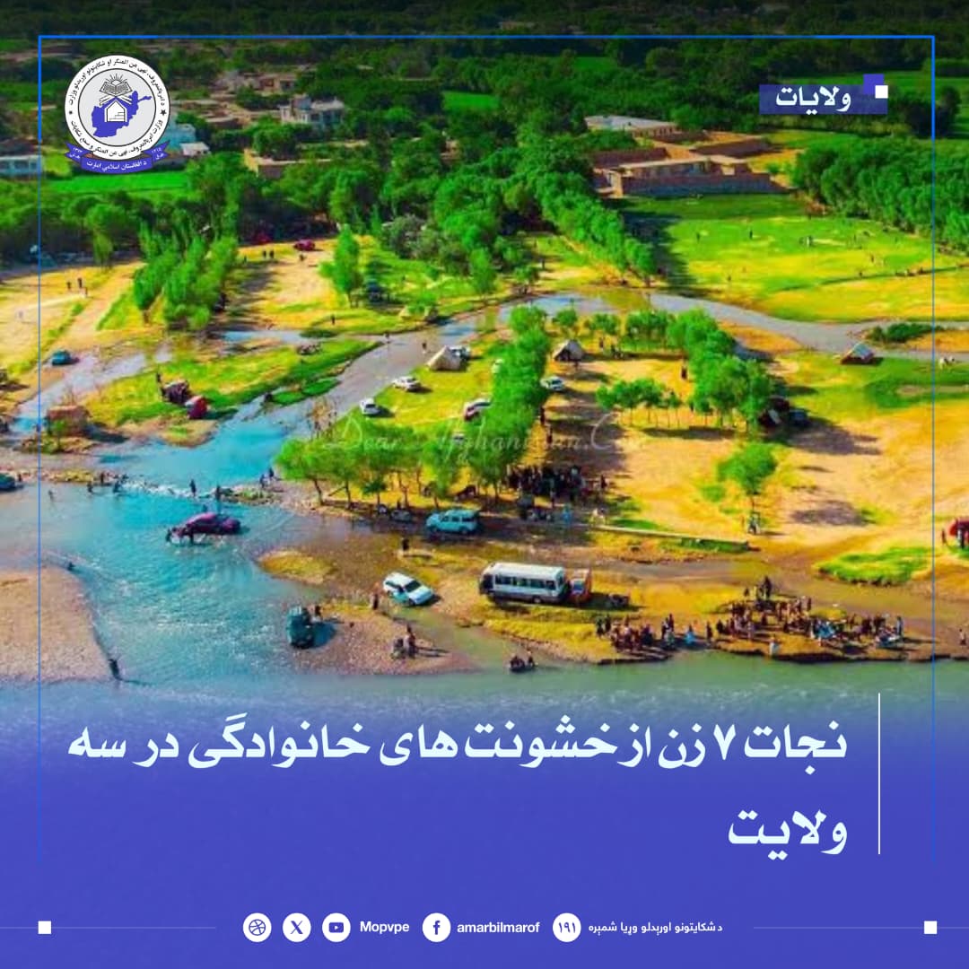 njat_7_zn_dr_sh_wlayt.jpg