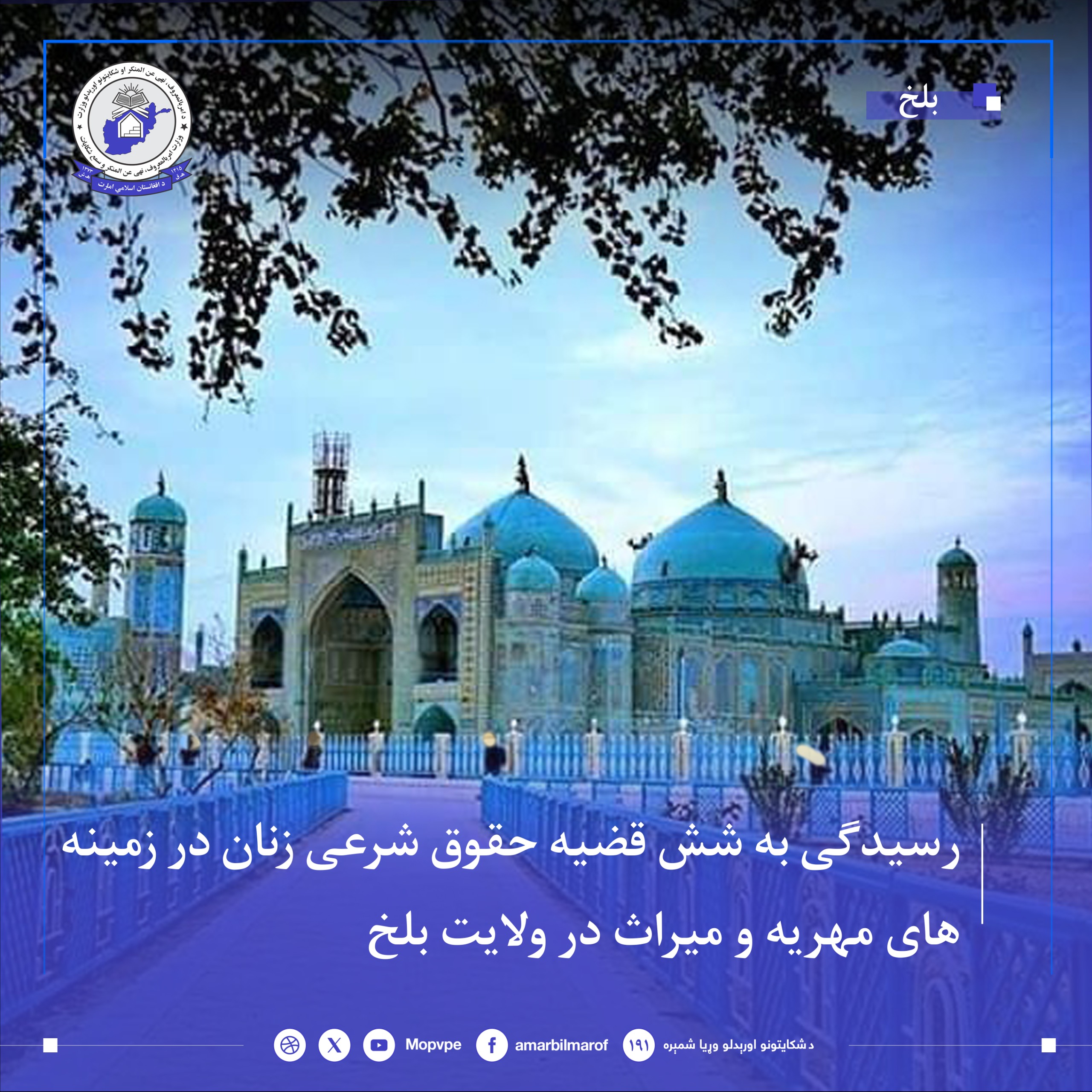 rsydgy_bh_shsh_qdyh_znan_dr_blkh.jpg