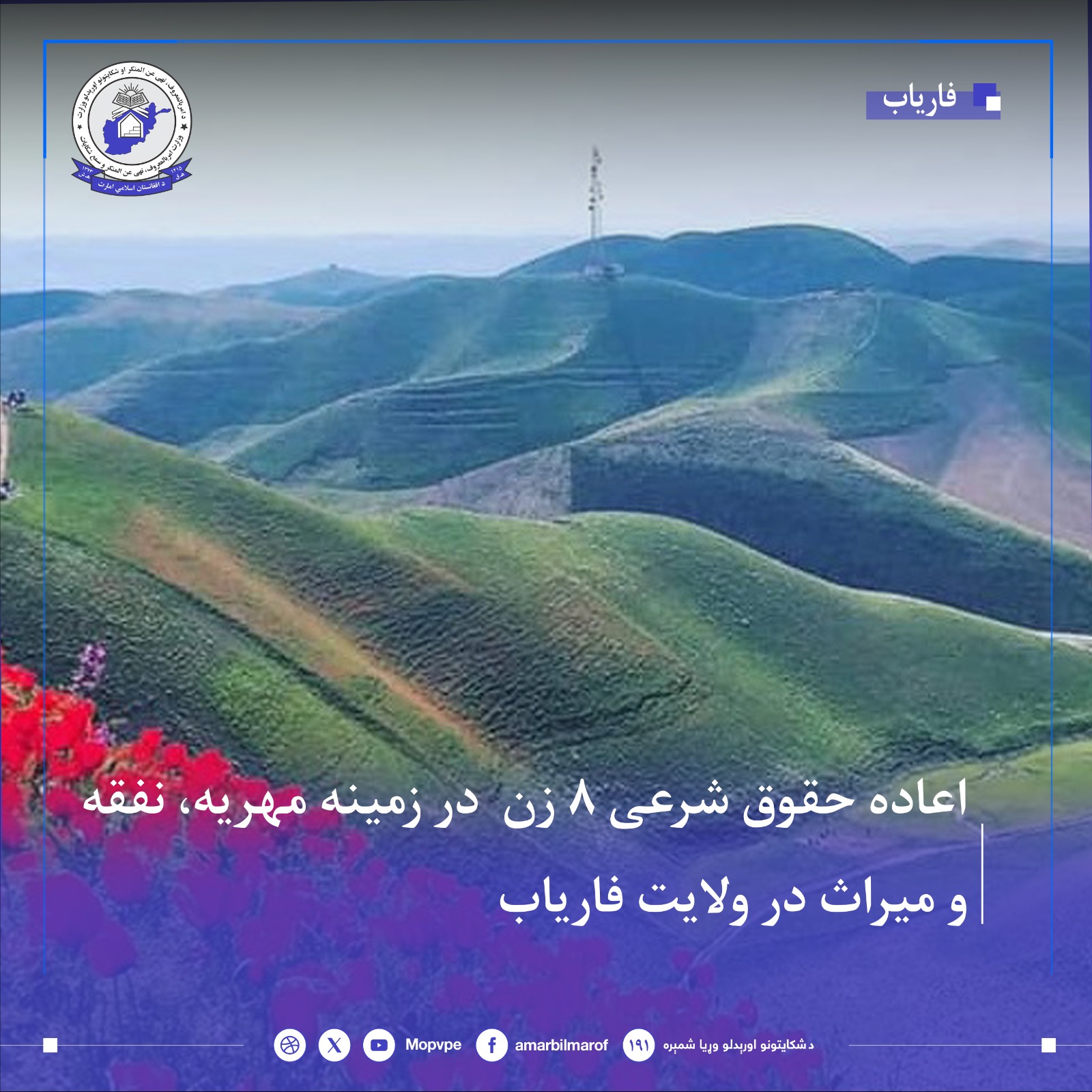 tamyn_hqwq_8_zn_dr_faryab.jpg